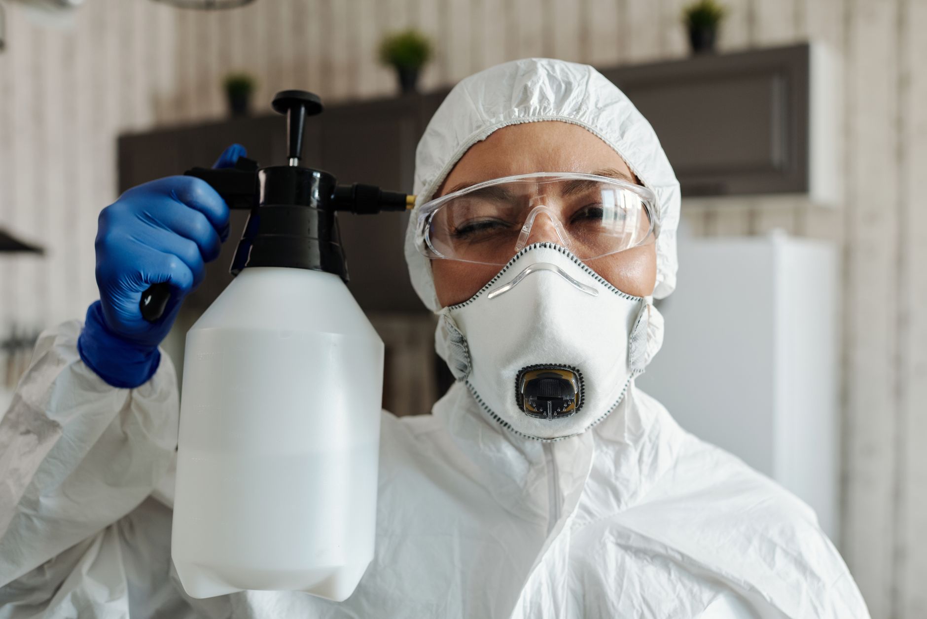 Rodent Control – Moody