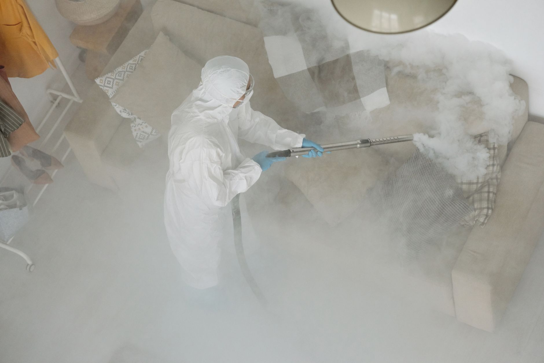 Ant & Roach Treatment – Moody